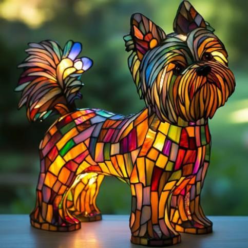 Strålende Yorkshire Terrier